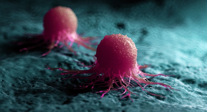 ¿Qué es el cáncer? ¿Qué es el cáncer?